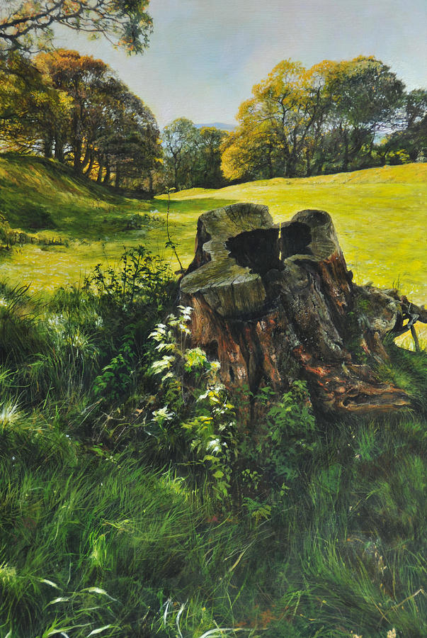 Treetrunk at Rhug Painting by Harry Robertson