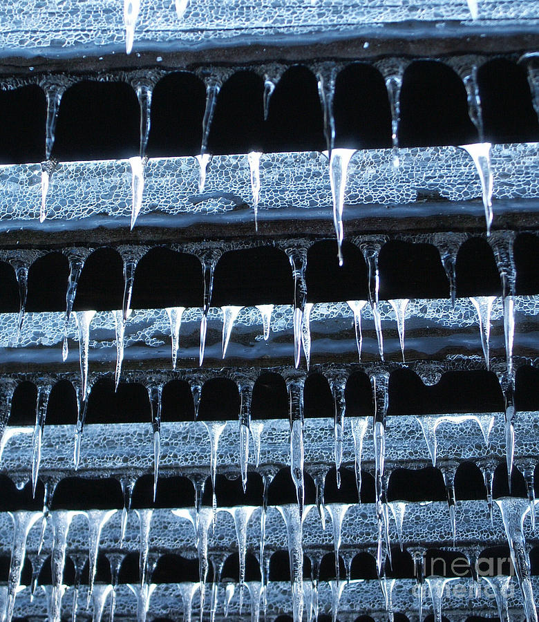 Ice Photograph - Trellis Ice by Steve Rudolph Ice Photograph - Trellis Ice by Steve Rudolph