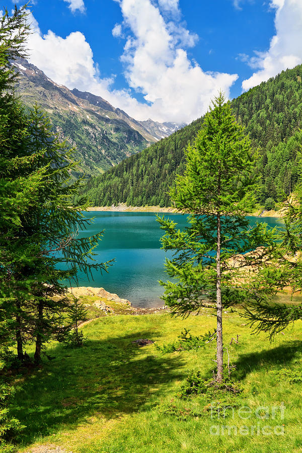 Trentino - lake Pian Palu Photograph by Antonio Scarpi