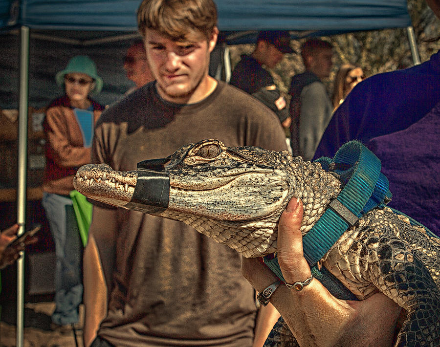 Tres Rios Festival 2 Photograph by Jim Painter