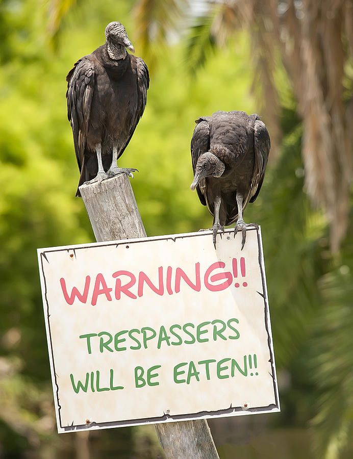 Trespassers will be Eaten Photograph by Wade Aiken