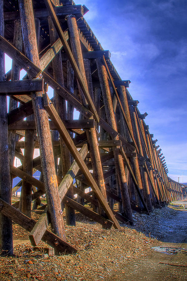 Tressel from the West Photograph by David Patterson
