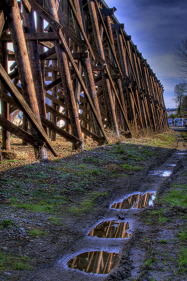 Tressel Reflections Photograph by David Patterson