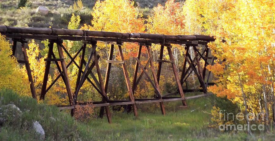Trestle In Fall Colors Photograph