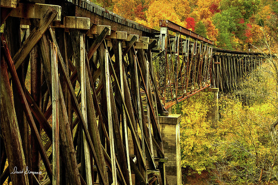Trestle To Color Photograph by David Simpson