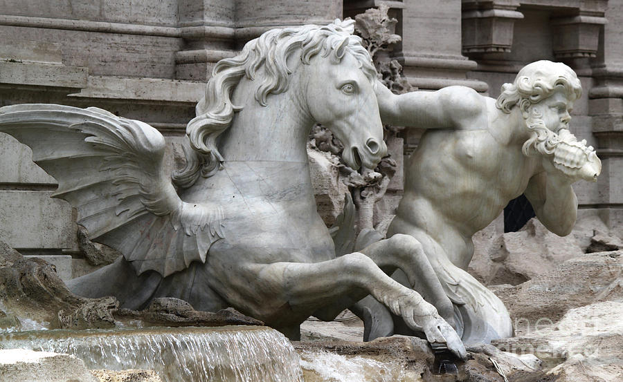 trevi fountain seahorse and merman by Gregory Dyer trevi fountain seahorse and merman by Gregory Dyer