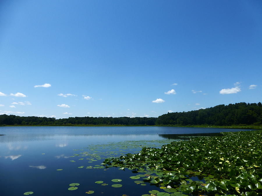 Tri county lake Photograph by Tina M Wenger - Fine Art America