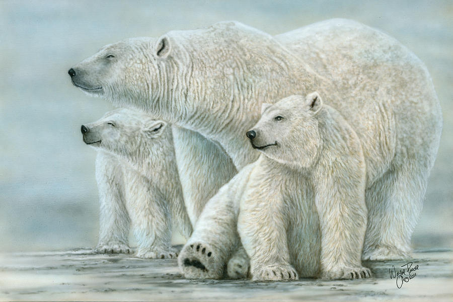 Tri Polar Bears Painting by Wayne Pruse
