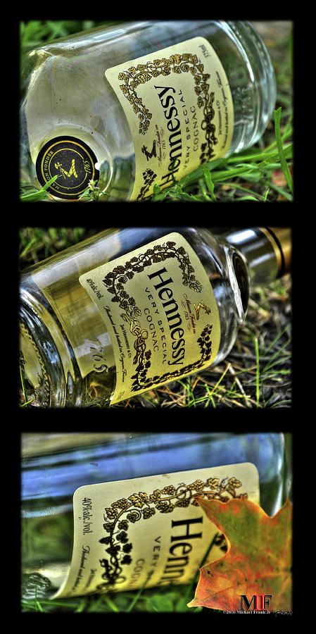 TRIALS AND TRIBULATIONS of the HENNEY BOTTLE Photograph by Michael Frank Jr