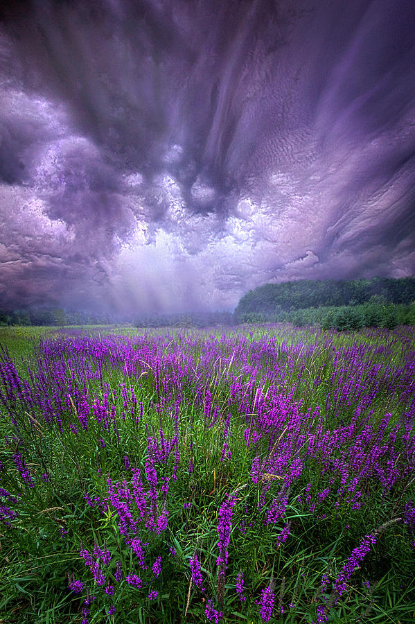 Trials And Tribulations Photograph by Phil Koch