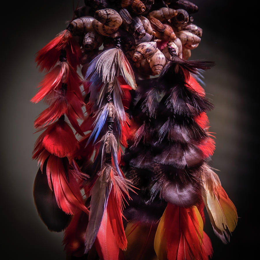 Feather Photograph - Tribal Art by James Woody