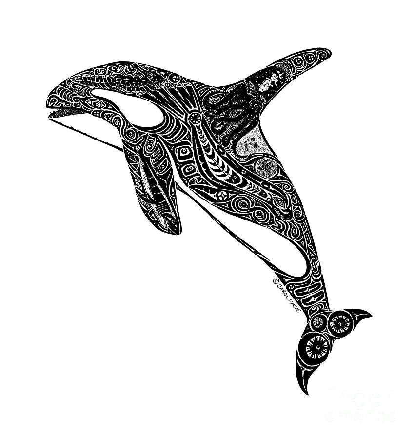 Tribal Orca Drawing by Carol Lynne