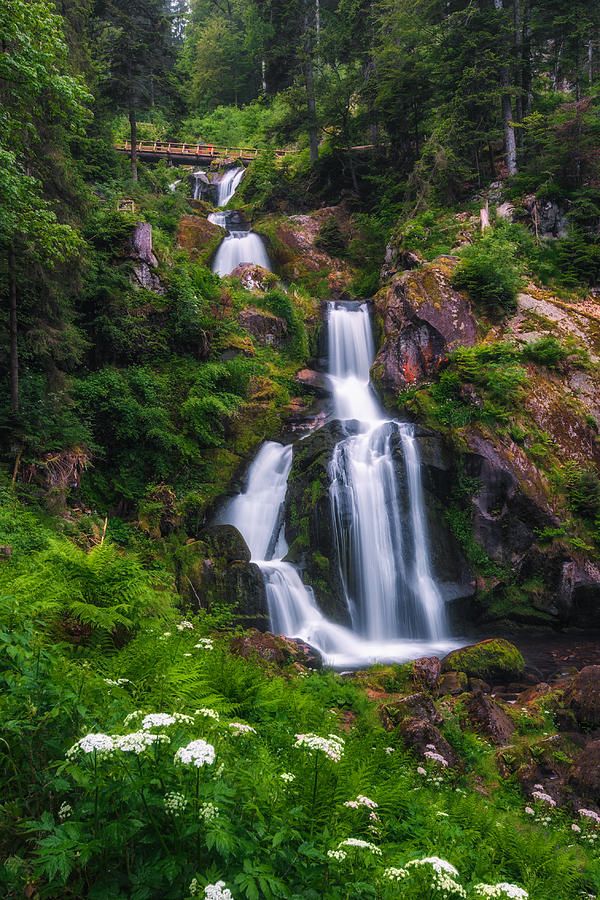 Triberg Waterfalls Photograph by Shuwen Wu