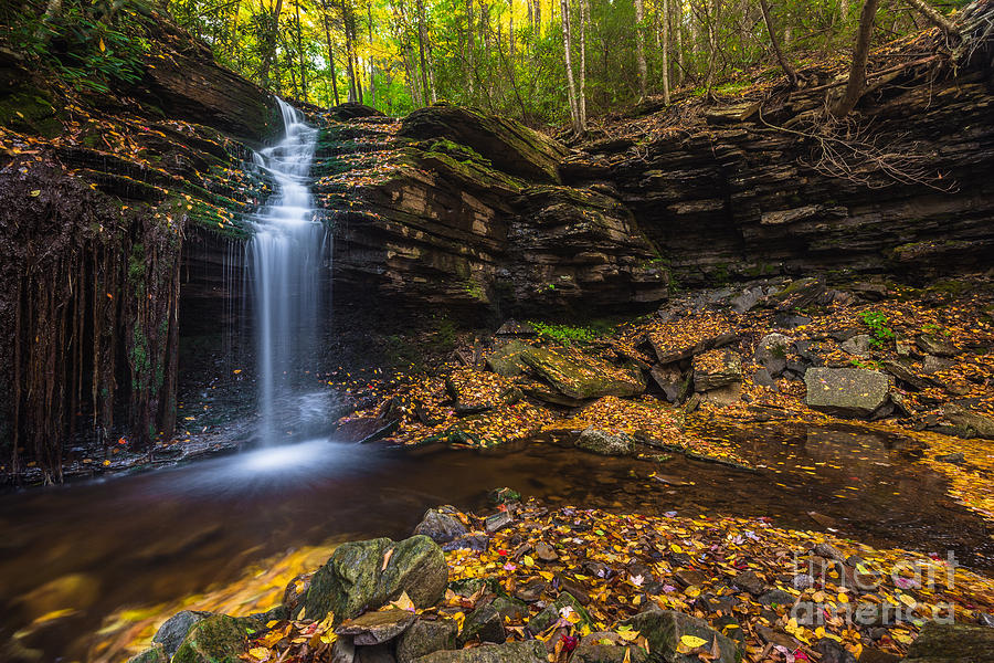 Tributary to Red Creek D80001180 Photograph by Kevin Funk - Fine Art ...