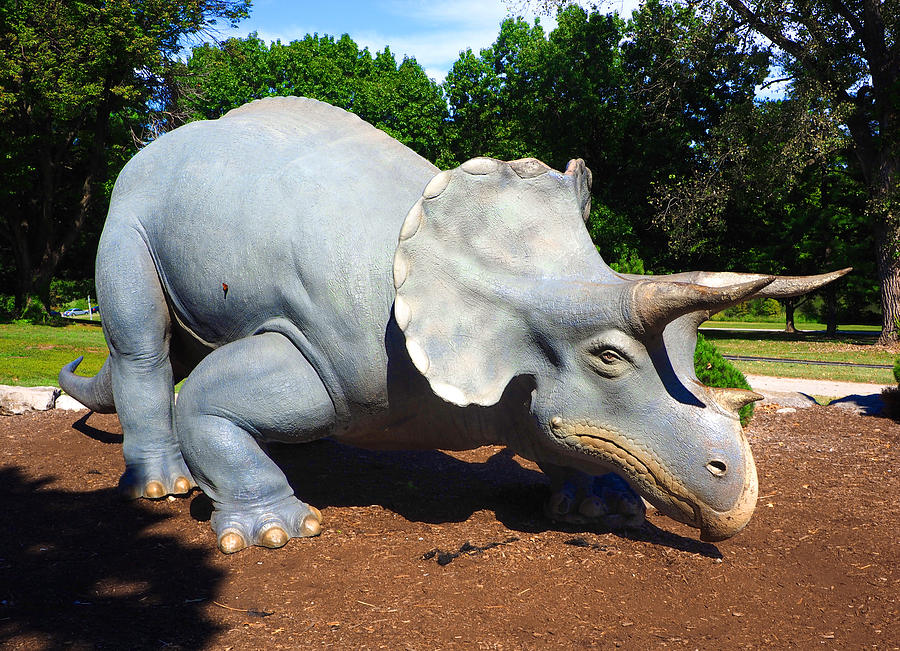 Triceratops at the Science Center Photograph by C H Apperson