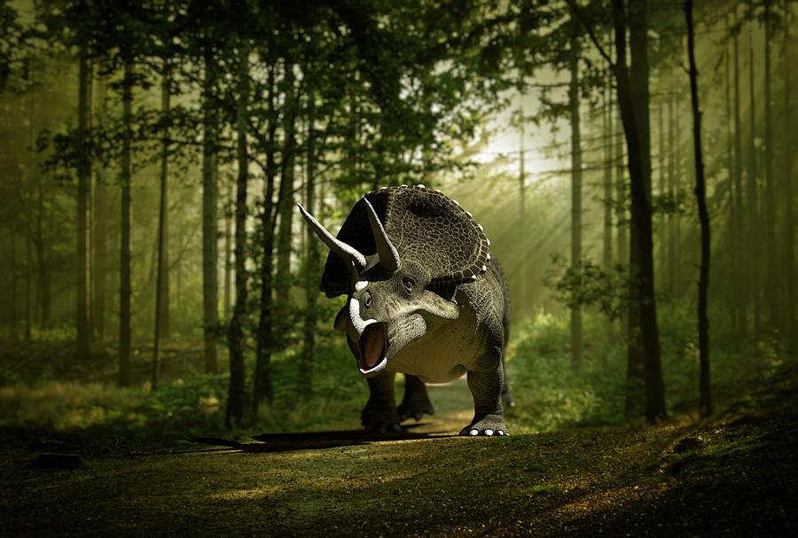 triceratops national geographic