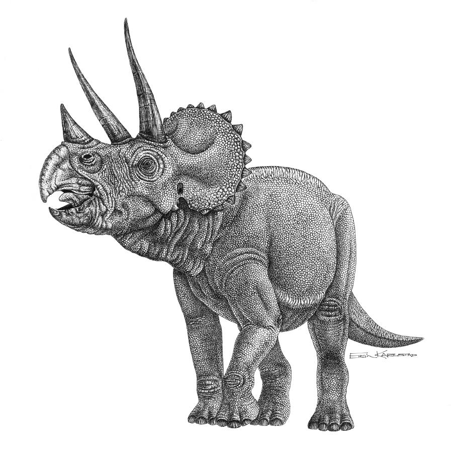 Triceratops Drawing by Erin Karlstad Fine Art America