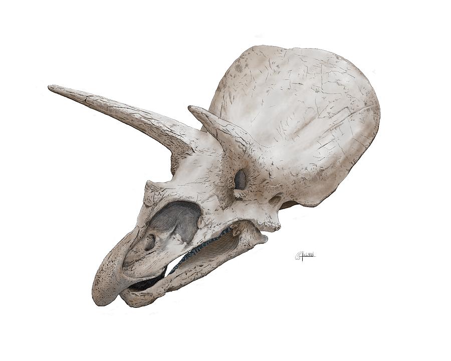 Triceratops skull Digital Art by Rick Adleman
