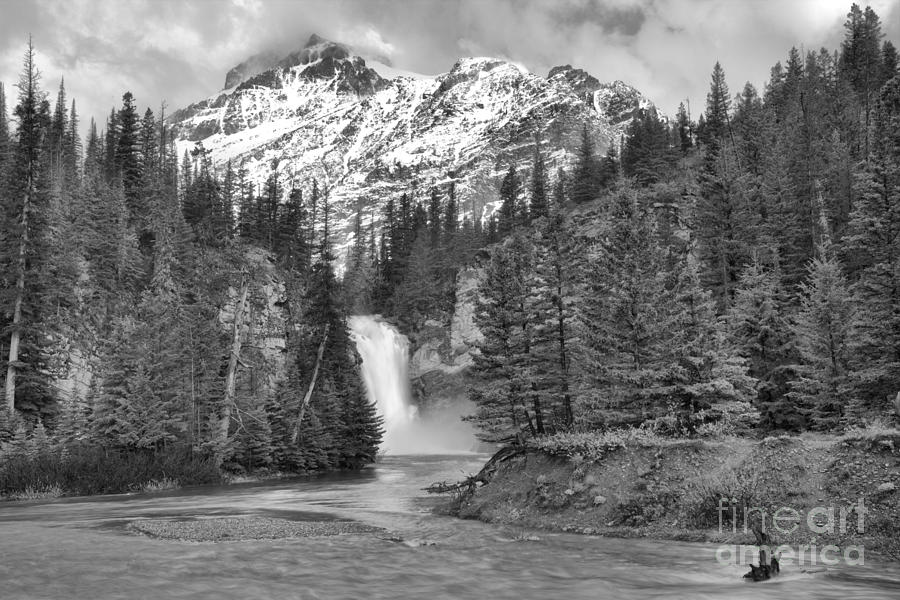 Trick Falls Into The Swollen Creek Black And White Photograph by Adam Jewell