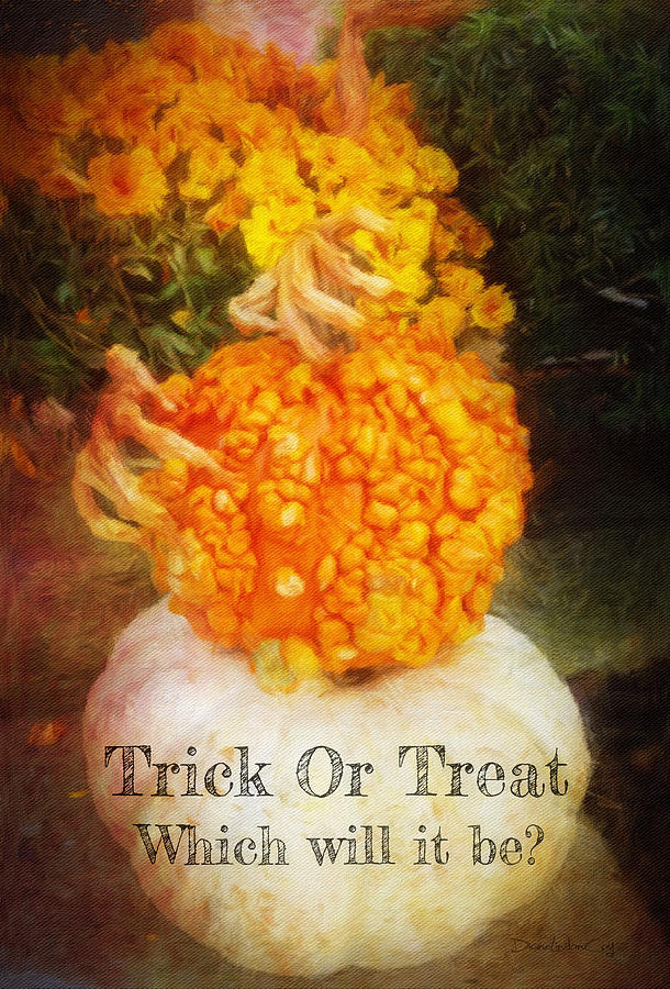 Trick or Treat Photograph by Diane Lindon Coy