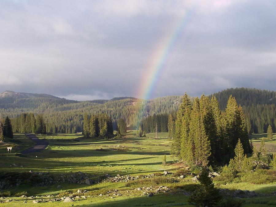 Mountain Photograph - Trickle Park Rainbow by Tina Barnash