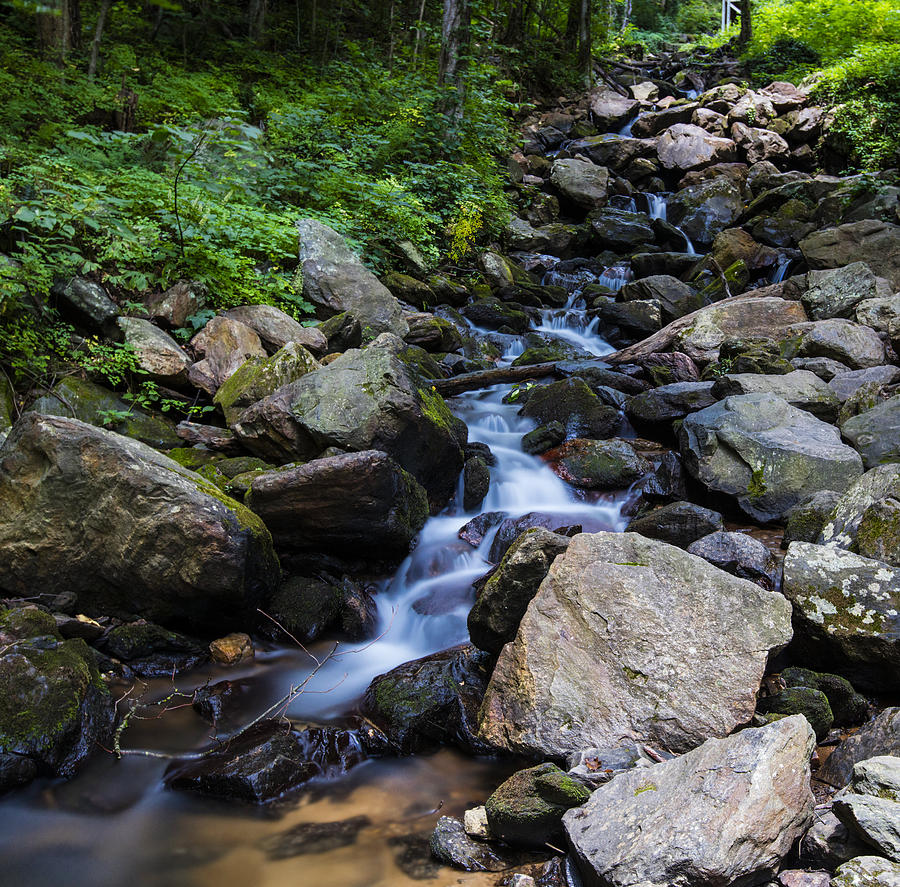 Trickling Mountain Brook Photograph by Sean Allen