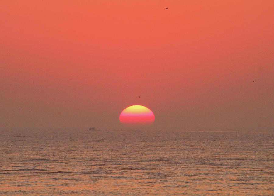 Tricolor Sunrise Photograph by Robert Banach