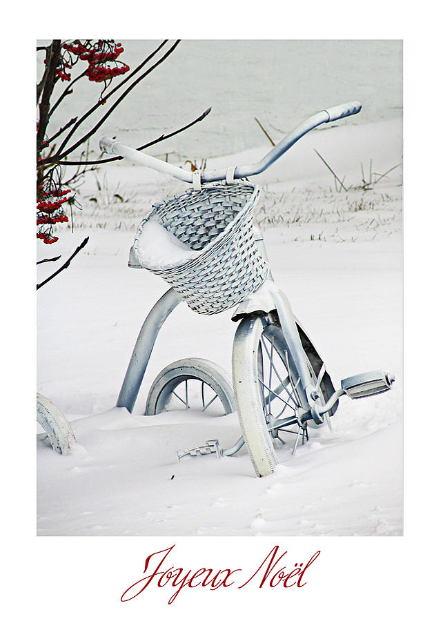 Tricycle Blanc de Noel Photograph by Maggie Terlecki