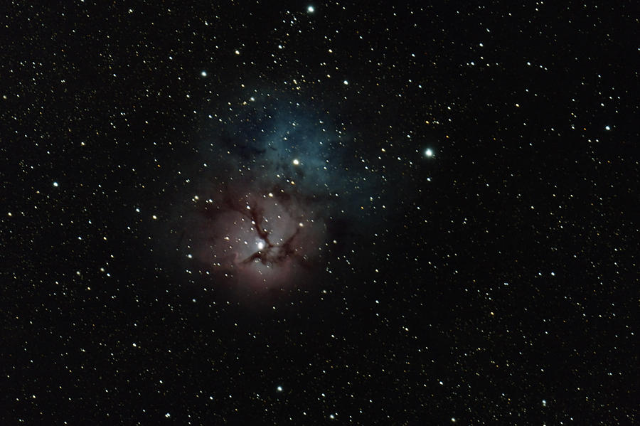 Trifid Nebula Photograph by David Watkins