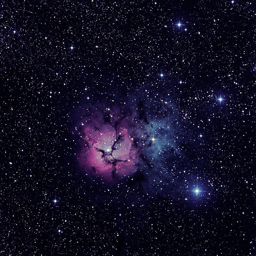 Trifid Nebula M20 Photograph by Nigel R Bell