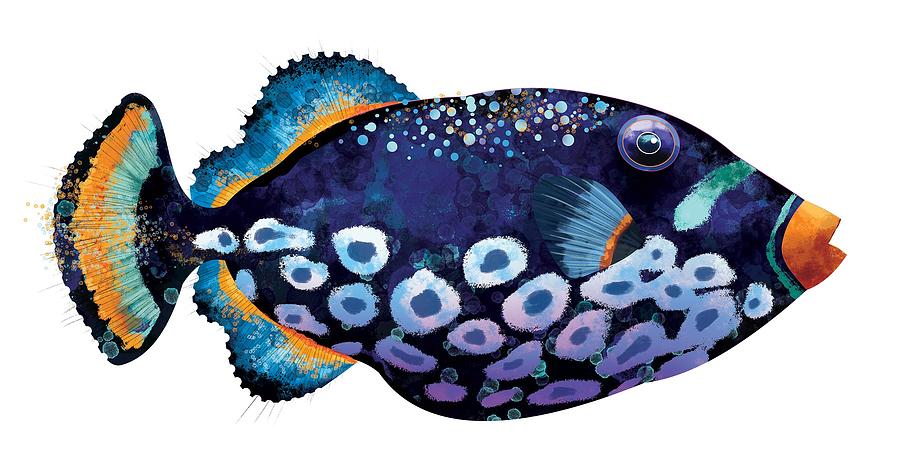 Trigger Fish Digital Art by Trevor Irvin