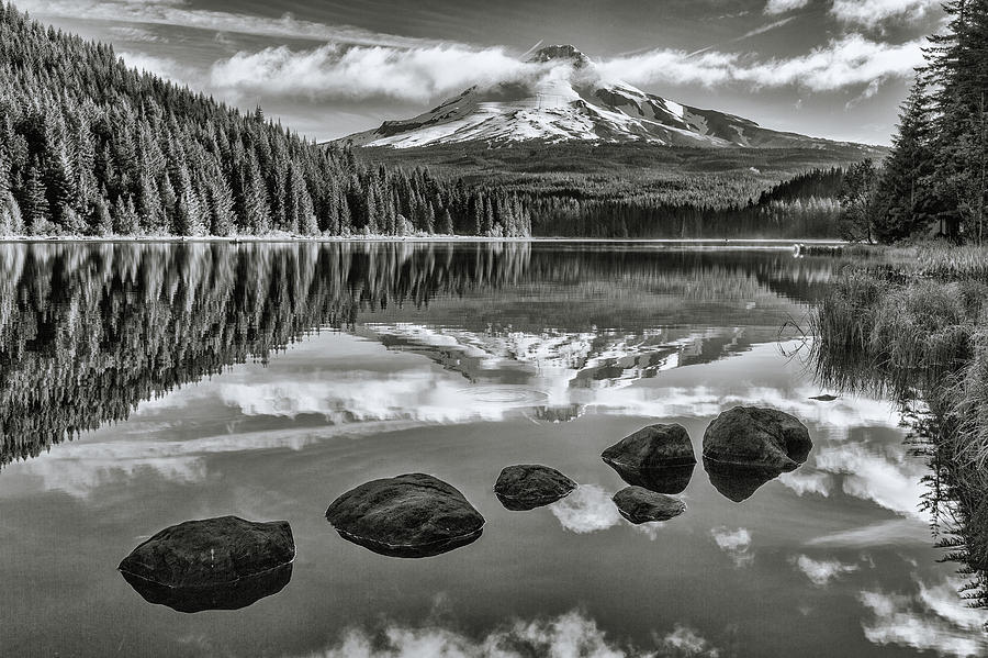 Trillium Lake Black and White Edition Photograph by Alex Mironyuk