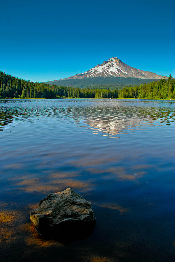 Trillium Lake with Mount Hood Photograph by Drena Putz - Fine Art America