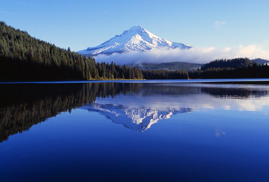 Trillium Lake With Reflection Of Mount Photograph by Dan Sherwood