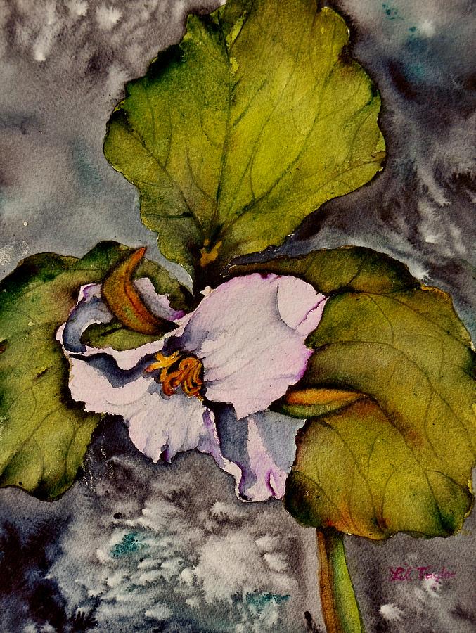 Trillium Painting by Lil Taylor