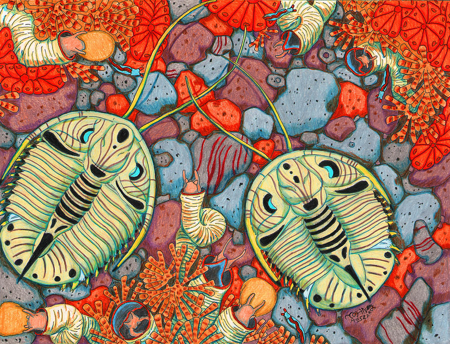 Prehistoric Drawing - Trilobites by John Meszaros