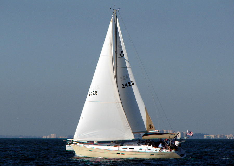 Trimaran under sail Photograph by T Guy Spencer