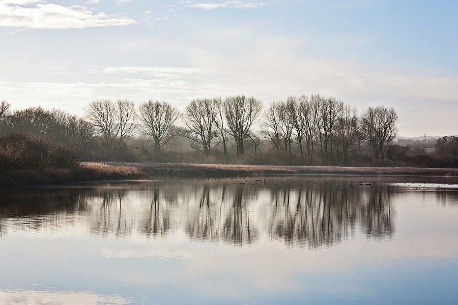 Tring Reservoirs Photograph by Graham Custance - Fine Art America