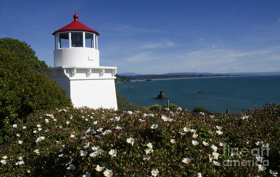 Trinidad Lighthouse California Photograph by Bob Christopher