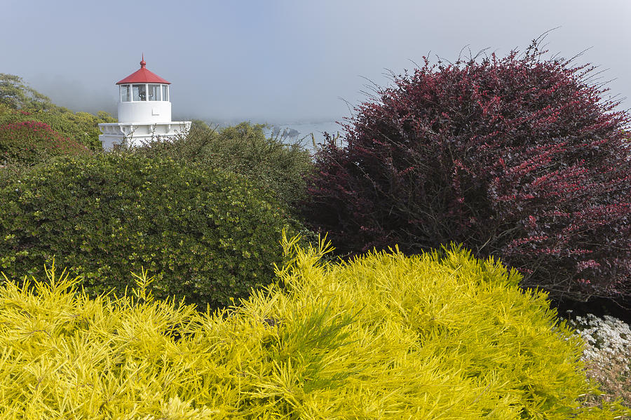 Trinidad Memorial Lighthouse Photograph