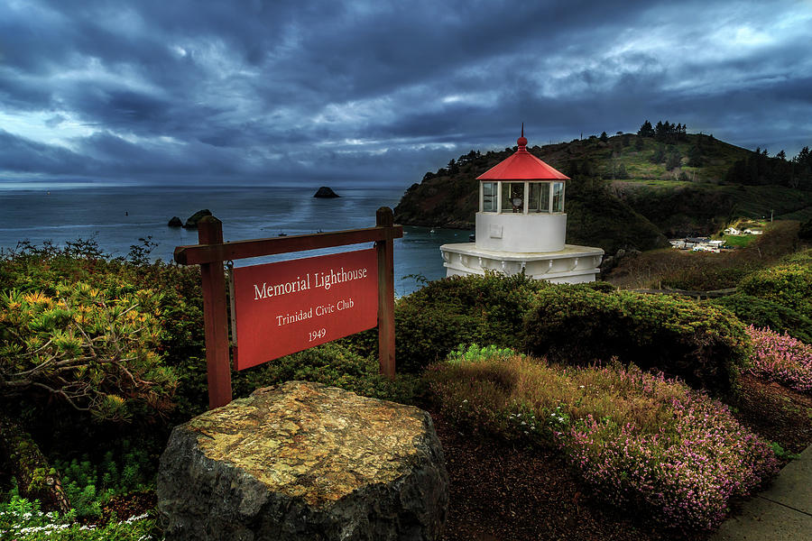 Flower Photograph - Trinidad Memorial Lighthouse by James Eddy