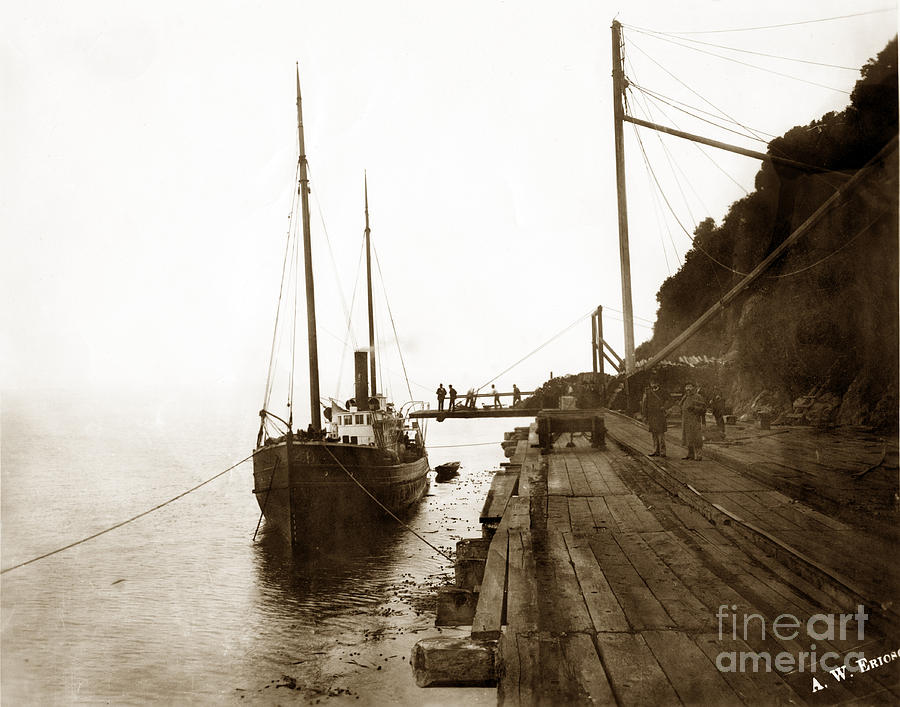 Cargo Photograph - Trinidad Wharf - Steamer Eddy taking on a cargo circa 1895 by Monterey County Historical Society