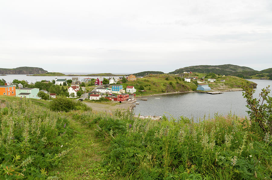 Trinity Bay Newfoundland 3 Photograph by Bob Corson Pixels