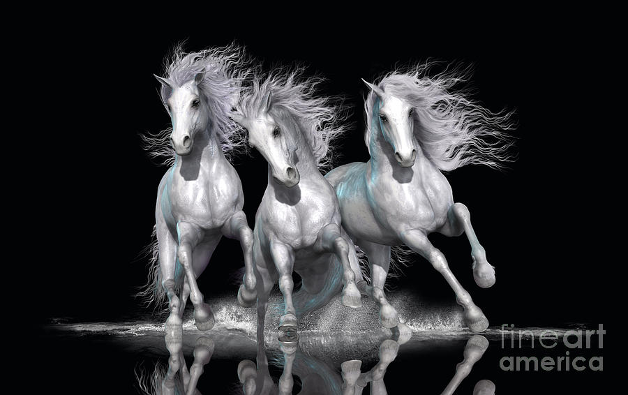 Trinity by Shanina Conway Trinity by Shanina Conway