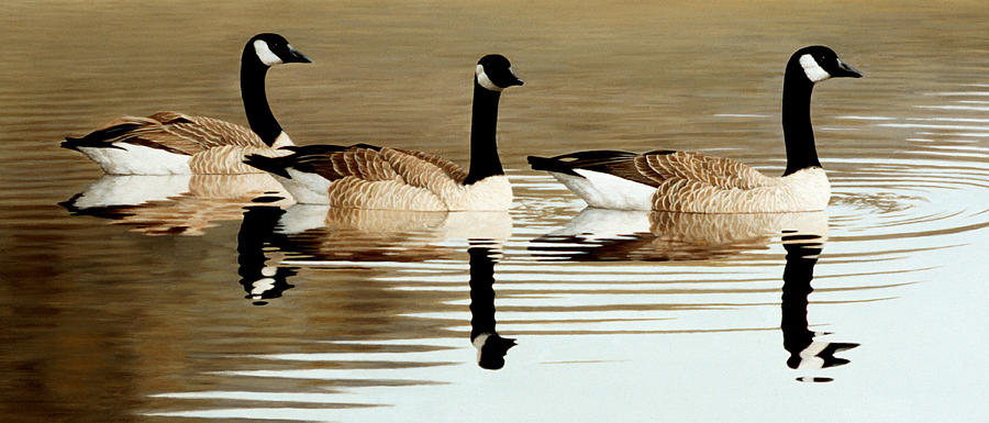 Trio by Peter Eades Trio by Peter Eades
