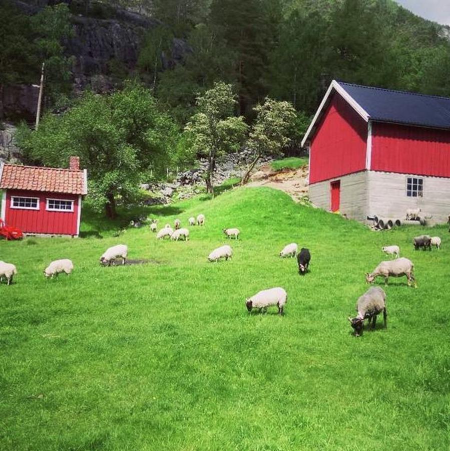 Norwegian Photograph - #trip #reise #norway #norwegian #drive by Sumire Kasagawa