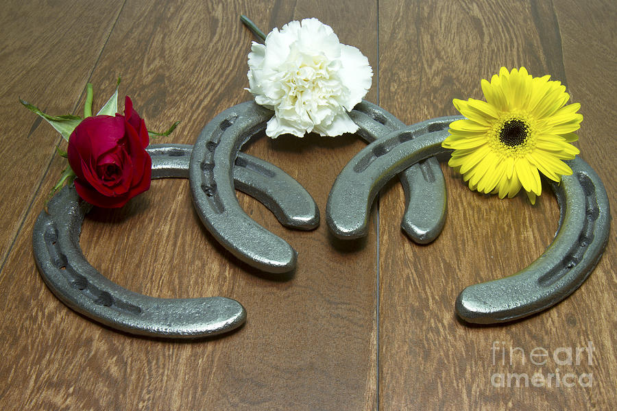 Triple Crown Flowers on Horseshoes Photograph by Karen Foley