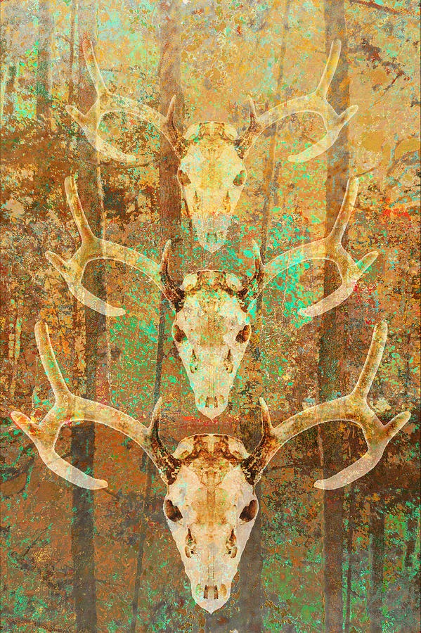Abstract Triple Deer Antler Forest Photograph by Suzanne Powers