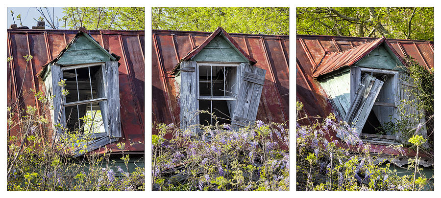 Triptych Windows Photograph by Denise Bush