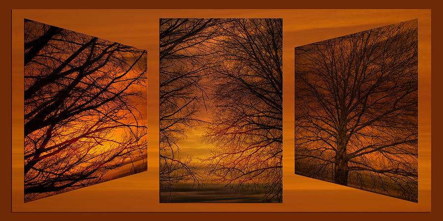 Spring Photograph - Triptychs Spring Tree Branches Twilit Moment 01 by Thomas Woolworth